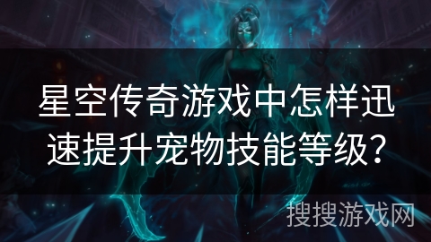 星空传奇游戏中怎样迅速提升宠物技能等级？