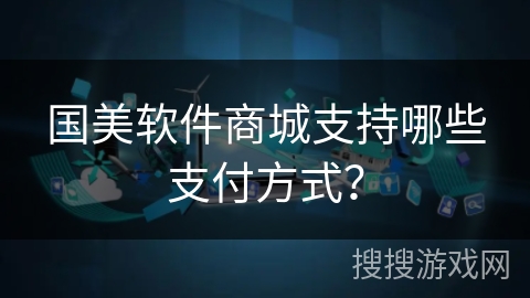 国美软件商城支持哪些支付方式？