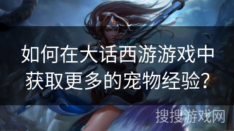 如何在大话西游游戏中获取更多的宠物经验？