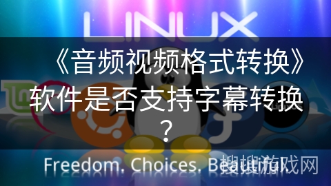 《音频视频格式转换》软件是否支持字幕转换？
