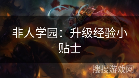 非人学园：升级经验小贴士
