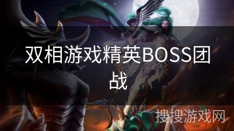 双相游戏精英BOSS团战