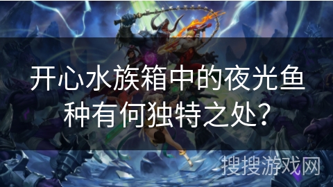 开心水族箱中的夜光鱼种有何独特之处？