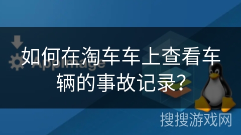 如何在淘车车上查看车辆的事故记录？