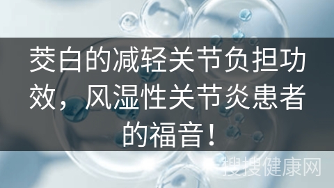 茭白的减轻关节负担功效，风湿性关节炎患者的福音！