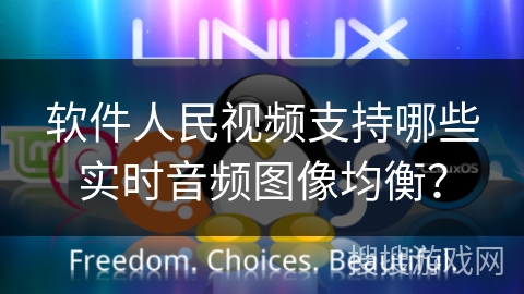 软件人民视频支持哪些实时音频图像均衡？