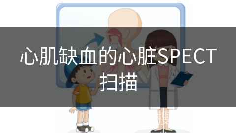 心肌缺血的心脏SPECT扫描