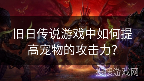 旧日传说游戏中如何提高宠物的攻击力？