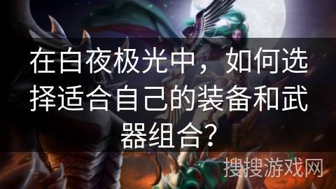 在白夜极光中，如何选择适合自己的装备和武器组合？