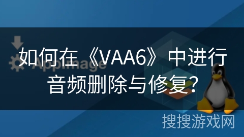 如何在《VAA6》中进行音频删除与修复？