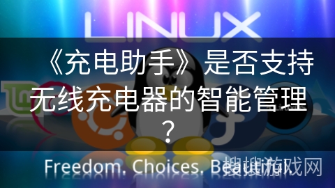《充电助手》是否支持无线充电器的智能管理？