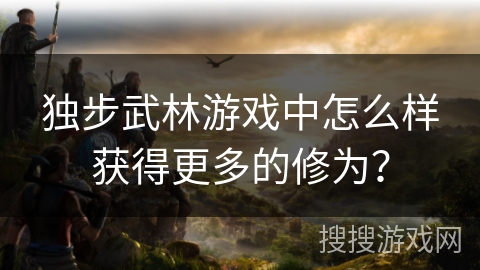独步武林游戏中怎么样获得更多的修为？