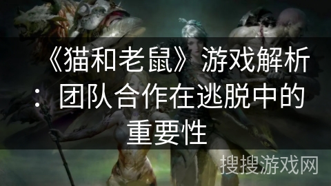 《猫和老鼠》游戏解析：团队合作在逃脱中的重要性