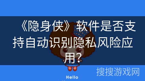 《隐身侠》软件是否支持自动识别隐私风险应用？