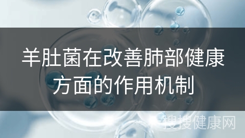 羊肚菌在改善肺部健康方面的作用机制