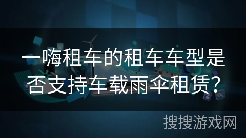 一嗨租车的租车车型是否支持车载雨伞租赁？