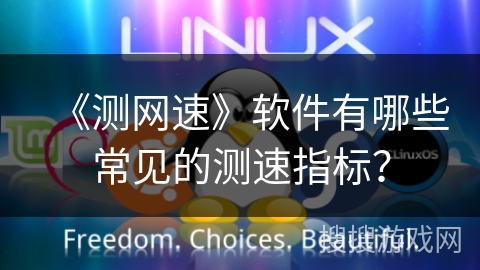《测网速》软件有哪些常见的测速指标？