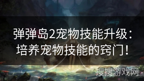 弹弹岛2宠物技能升级：培养宠物技能的窍门！