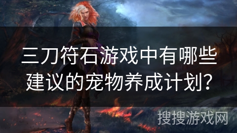 三刀符石游戏中有哪些建议的宠物养成计划？