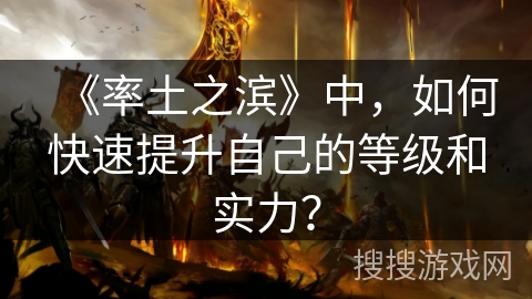 《率土之滨》中，如何快速提升自己的等级和实力？