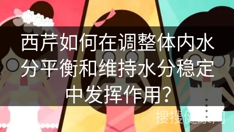 西芹如何在调整体内水分平衡和维持水分稳定中发挥作用？