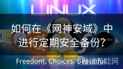 如何在《网神安域》中进行定期安全备份？