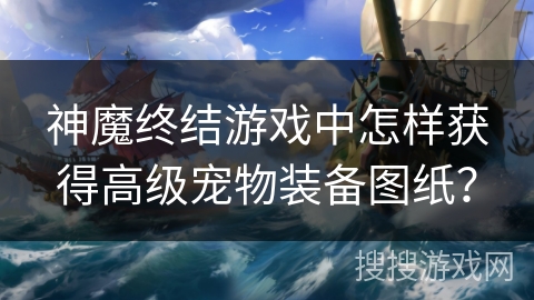 神魔终结游戏中怎样获得高级宠物装备图纸？