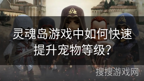 灵魂岛游戏中如何快速提升宠物等级？