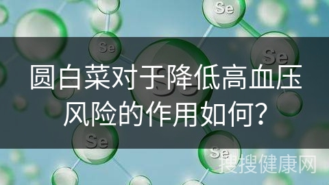 圆白菜对于降低高血压风险的作用如何？