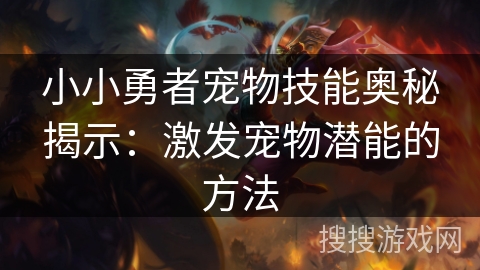 小小勇者宠物技能奥秘揭示：激发宠物潜能的方法