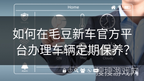 如何在毛豆新车官方平台办理车辆定期保养？