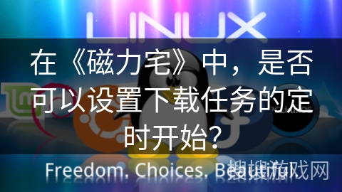 在《磁力宅》中，是否可以设置下载任务的定时开始？