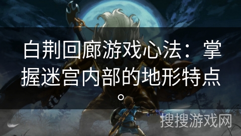 白荆回廊游戏心法：掌握迷宫内部的地形特点。