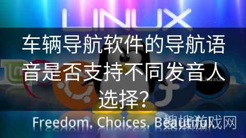 车辆导航软件的导航语音是否支持不同发音人选择？