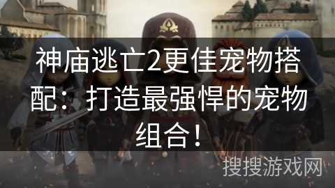 神庙逃亡2更佳宠物搭配：打造最强悍的宠物组合！