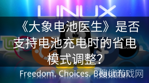 《大象电池医生》是否支持电池充电时的省电模式调整？