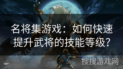 名将集游戏：如何快速提升武将的技能等级？