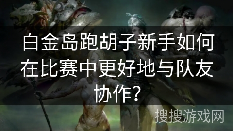 白金岛跑胡子新手如何在比赛中更好地与队友协作？