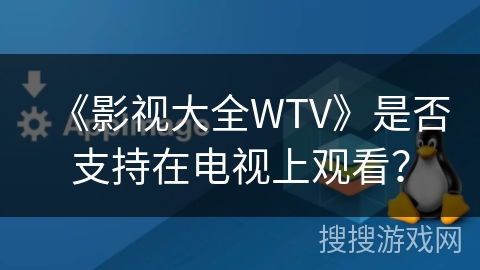 《影视大全WTV》是否支持在电视上观看？