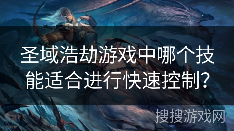 圣域浩劫游戏中哪个技能适合进行快速控制？
