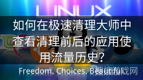 如何在极速清理大师中查看清理前后的应用使用流量历史？