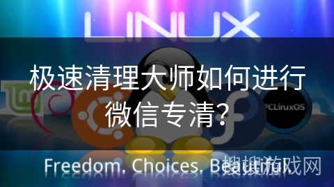 极速清理大师如何进行微信专清？