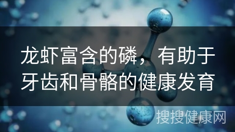 龙虾富含的磷，有助于牙齿和骨骼的健康发育