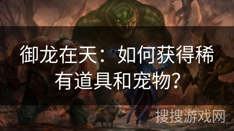 御龙在天：如何获得稀有道具和宠物？