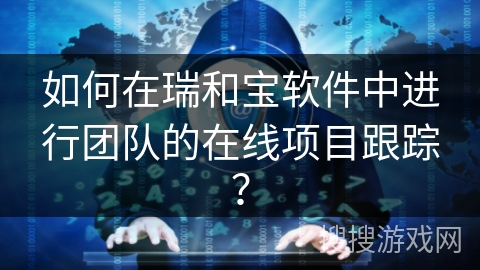 如何在瑞和宝软件中进行团队的在线项目跟踪？