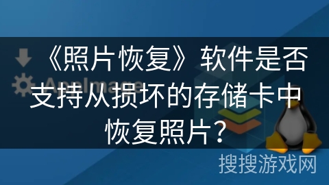 《照片恢复》软件是否支持从损坏的存储卡中恢复照片？