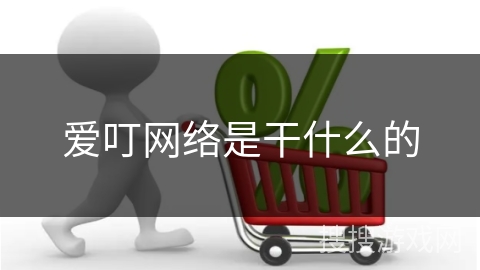 爱叮网络是干什么的