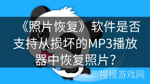 《照片恢复》软件是否支持从损坏的MP3播放器中恢复照片？