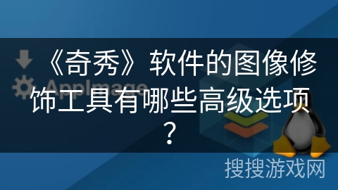 《奇秀》软件的图像修饰工具有哪些高级选项？