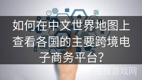 如何在中文世界地图上查看各国的主要跨境电子商务平台？